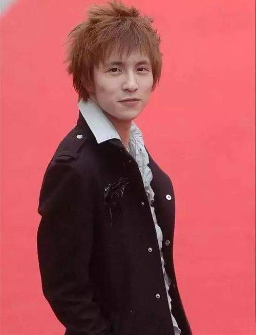 娱乐圈没整过容的明星_华晨宇整容_刘恺威整容后遗症