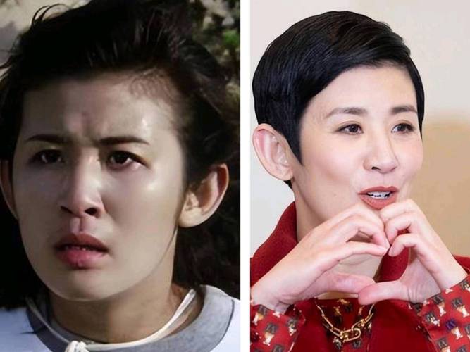 影星吴君如_吴君如 女明星集邮_吴君如奖项