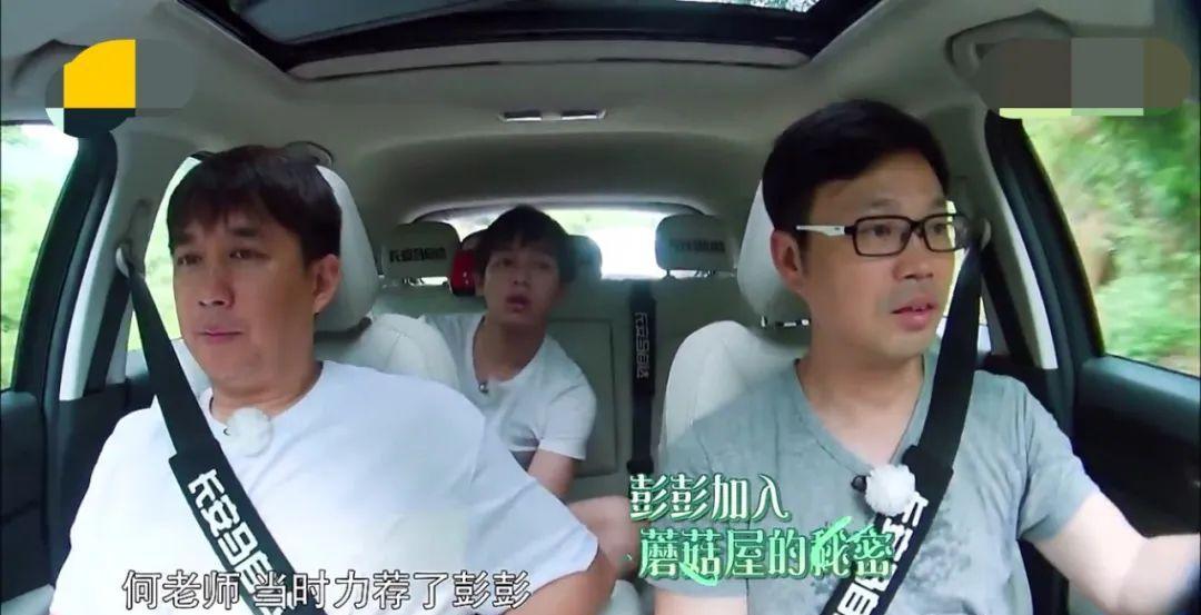 几乎没有黑粉的明星_娱乐圈没人怕的明星_演技与口碑并存的明星