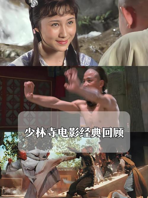 少林在线电影_少林三十房连续剧_少林三十六房在线观看